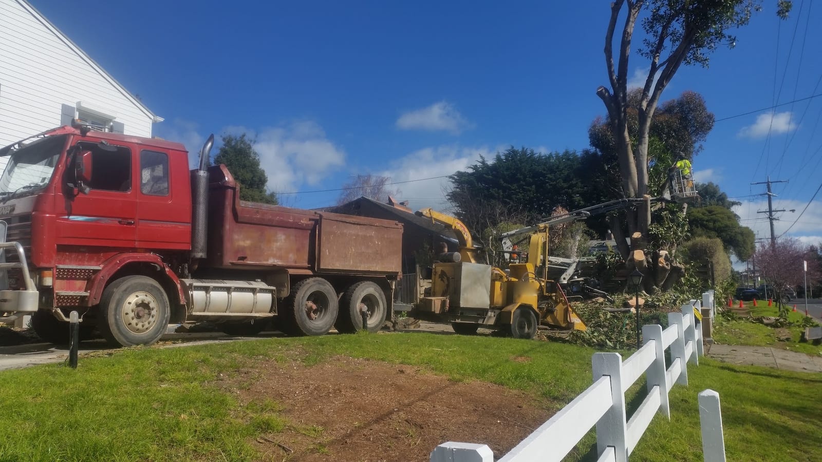 Tipper truck and wood chipper on a suburban street during tree removal and site clearing
